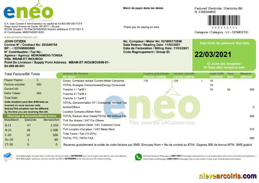 Cameroon ENEO electricity utility bill current version